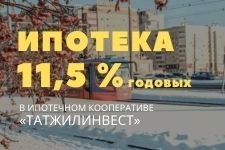       ""  11,5% 